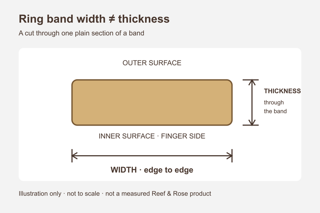 Ring band cross-section showing the difference between width and thickness